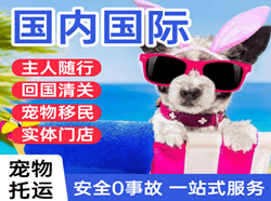丽江机场邮寄国际宠物托运 【国